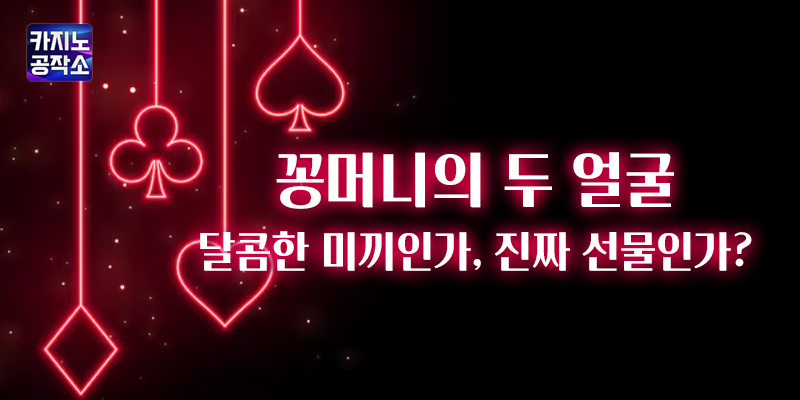 꽁머니의 진실