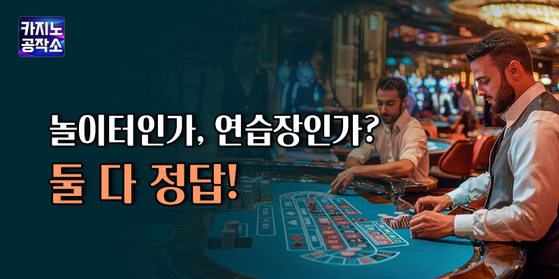 카지노사이트 놀이터