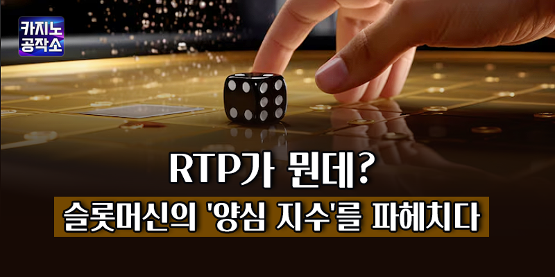 RTP 의미