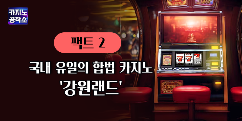 국내 유일의 합법 카지노